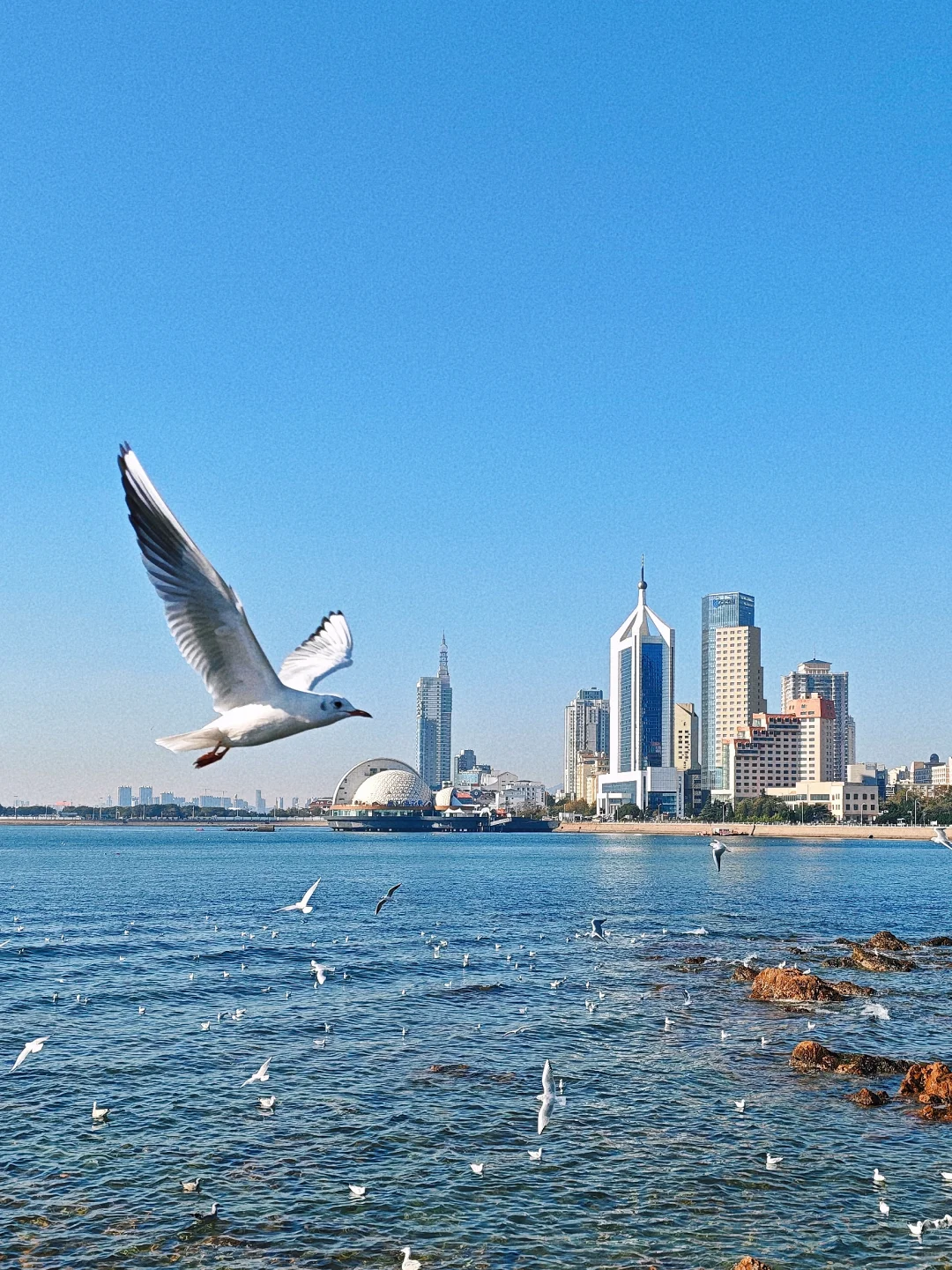 青岛风景1